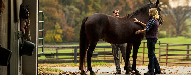 Horse Caregivers