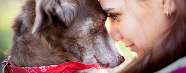 dog with owner