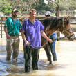 people rescuing horse