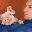 producer holding pig