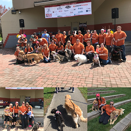 Walk for Paws in Exton, Pennsylvania