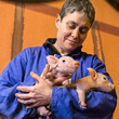 Farmer with piglets