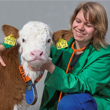 calf with veterinarian