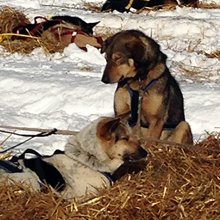 Resting in between the long distance race