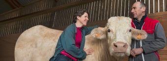 Vet and Producer with Beef Cattle