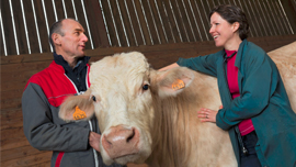 Partnership Opportunities vet and producer with beef cow