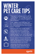 Five Winter Pet Care Tips