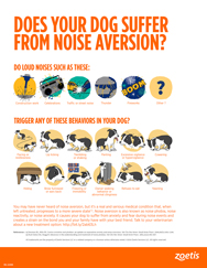 Noise Aversion infographic thumb