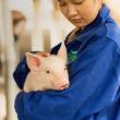 woman holding piglet