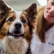 veterinarian with dog