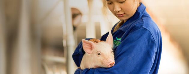 woman holding piglet