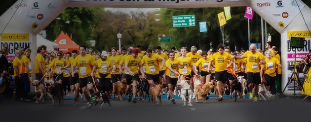 Zoetis DOGRUN in Argentina 2014