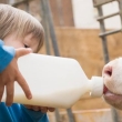 dairy calf drinking milk