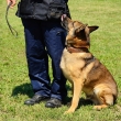 RIMADYL K-9 Courage program, dog and handler