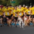 Zoetis DOGRUN in Argentina 2014